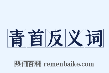 青首反义词是什么意思的图片